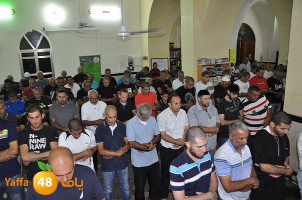 tarawee7 jablaiya (9).JPG